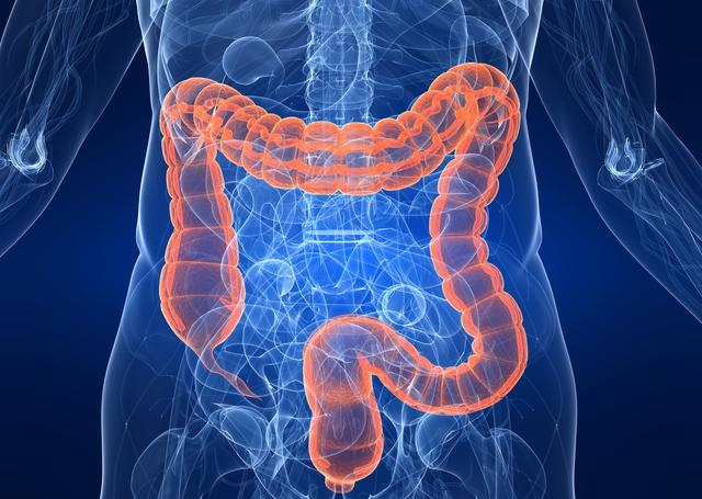 Microbiome：碳水、蛋白质、脂肪进入肠道后，它们发生了什么？