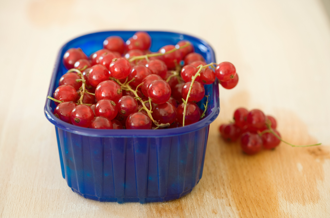 泌尿系统健康的“守护星”——蔓越莓