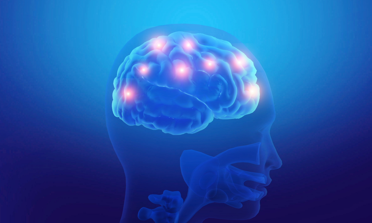 大脑也是需要健康补给，让醒脑因子Protygold®来成为你的补脑小尖兵